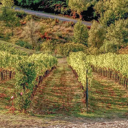 Holiday home Poggione Gaiole in Chianti